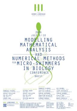 micro-swimmers